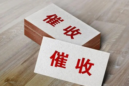 望江追款公司