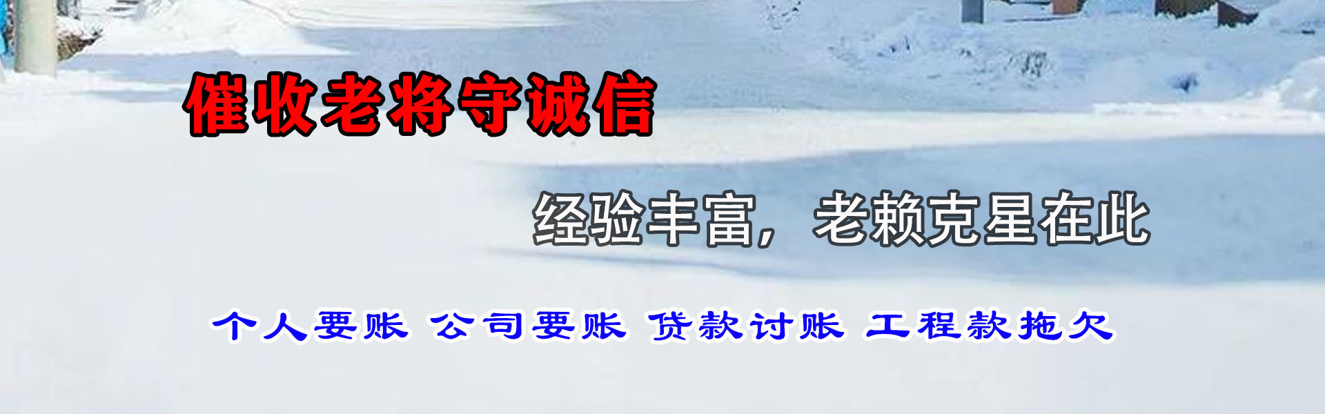 望江追款公司